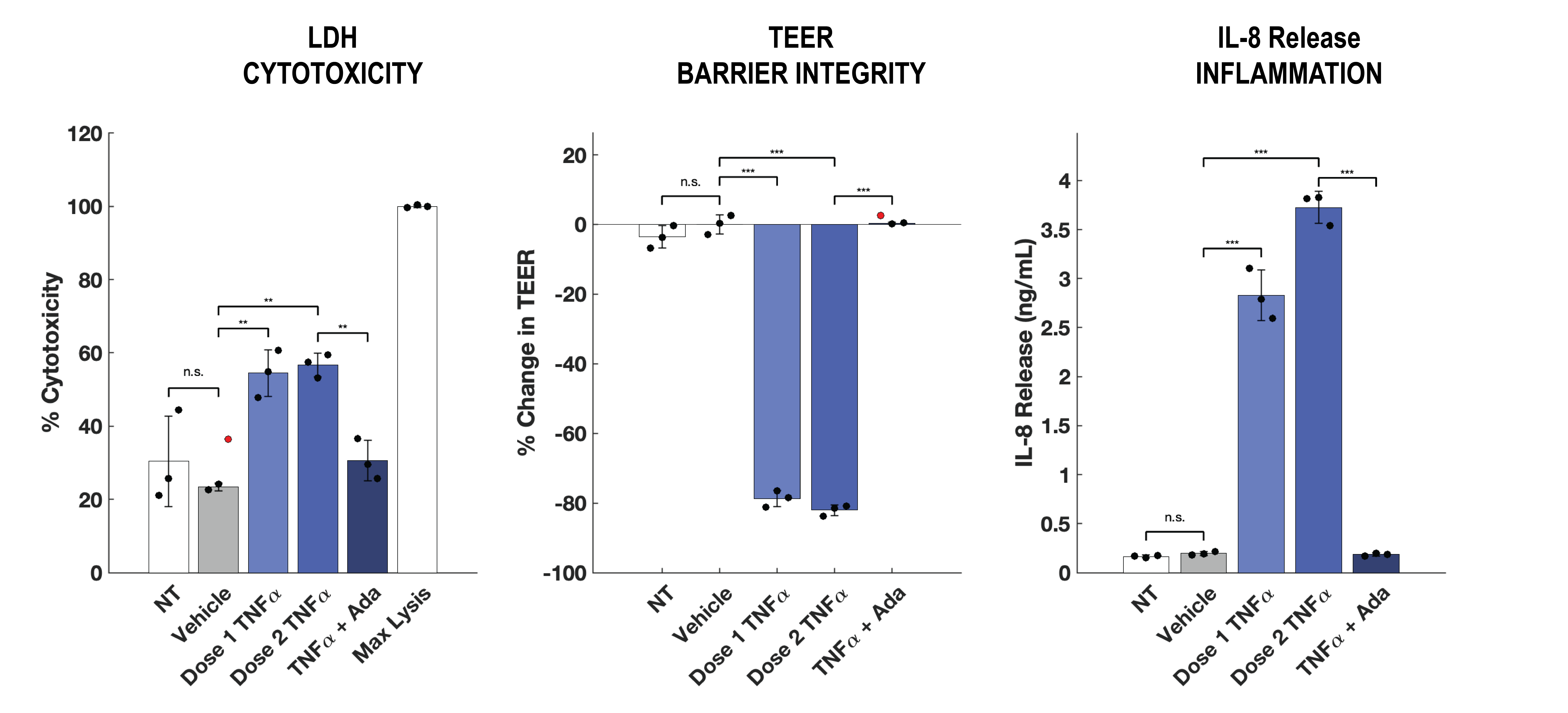 InflammaScreen intestinal inflammation assay validation data for cytotoxicity, barrier integrity, and cytokine release