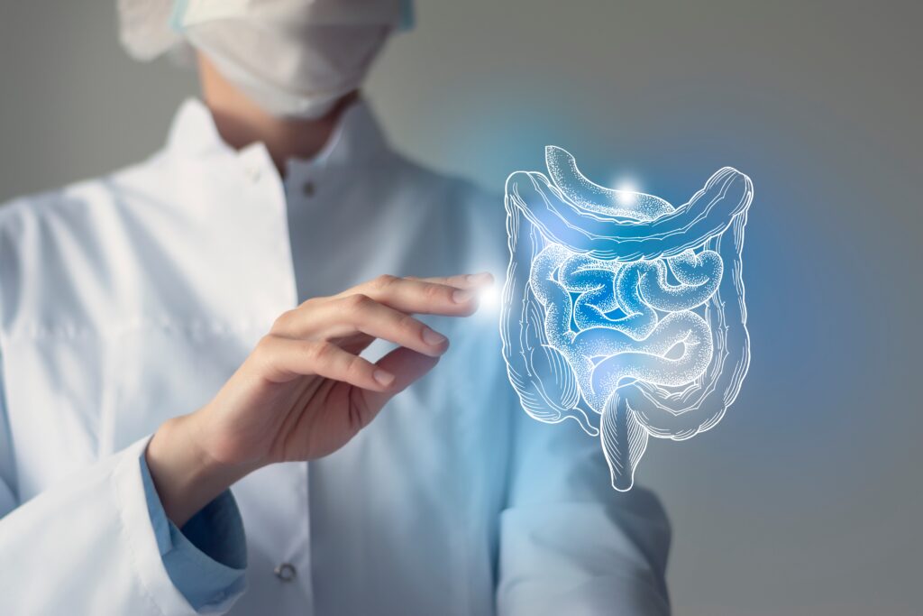 Poster: Primary Human Small Intestine Monolayers