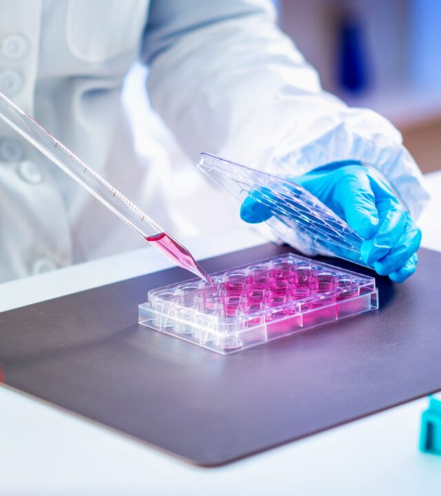 RepliGut® represents the next generation for in vitro testing